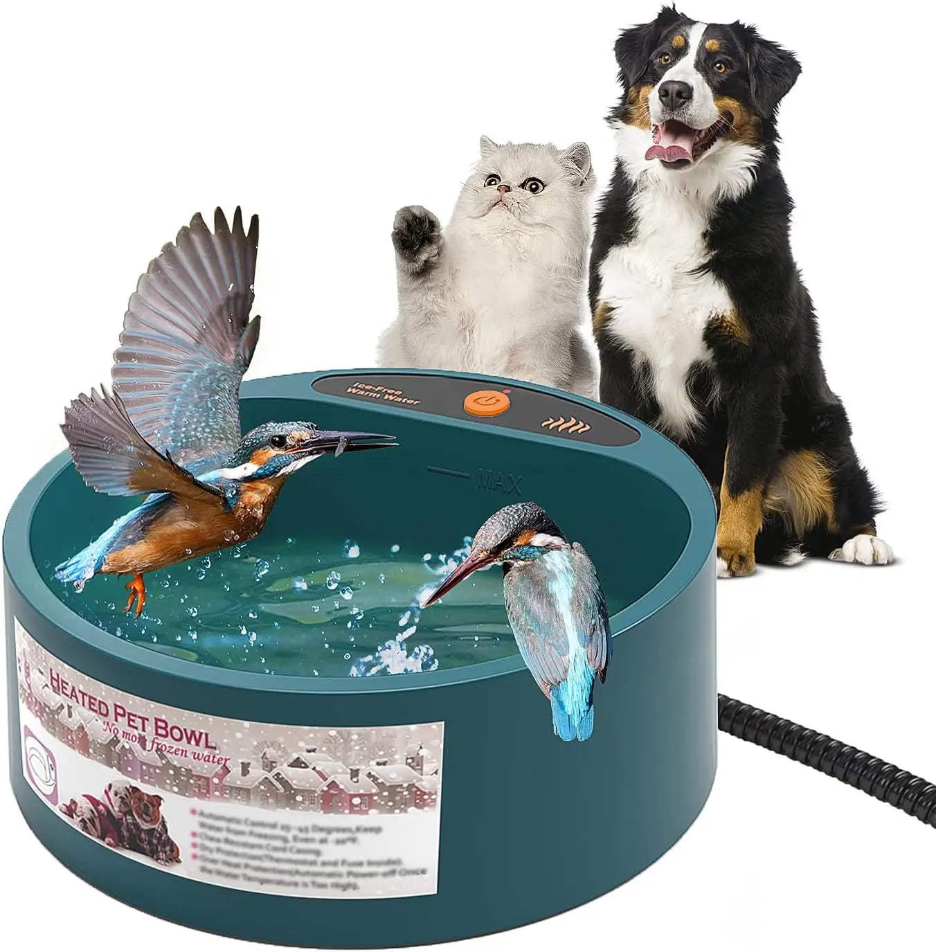 pet heated bowl