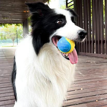 dog ball