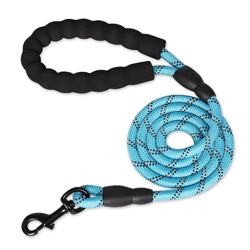 long dog leash