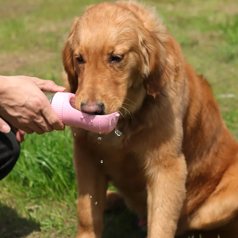 Bouteille d'eau portable 2 en 1 pour animaux de compagnie