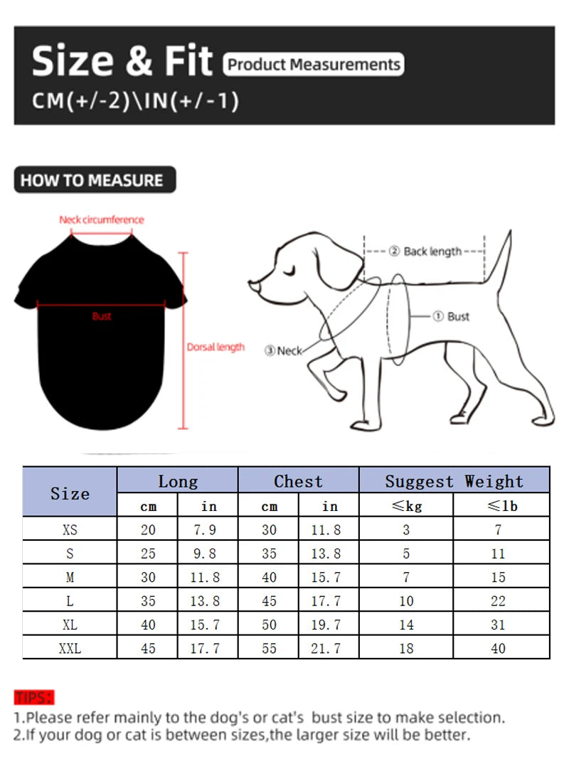 Mantel für kleine Hunde und Katzen