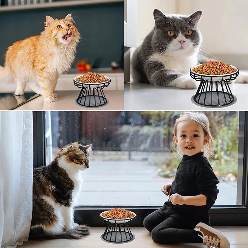 cat feeding bowls