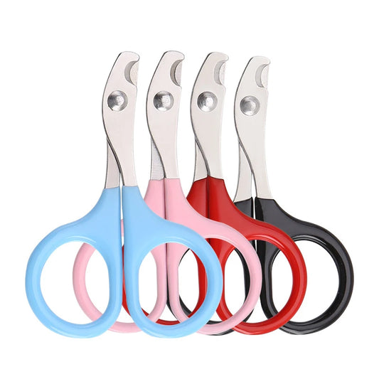 Ciseaux à ongles pour animaux de compagnie pour couper les griffes