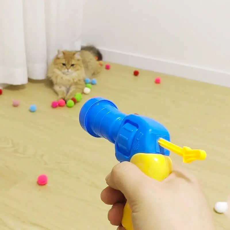 a cat toy