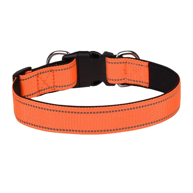 large dog collar