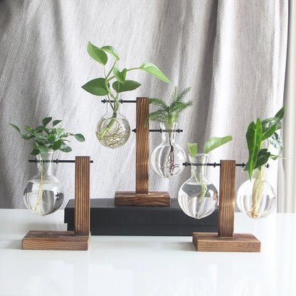 Jardinière en verre, vase à ampoule, support en bois, table