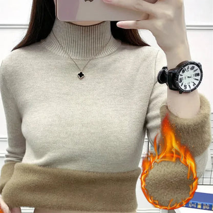 ladies sweater
