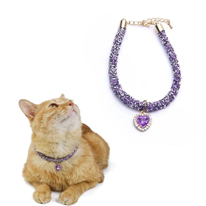 purple cat collar