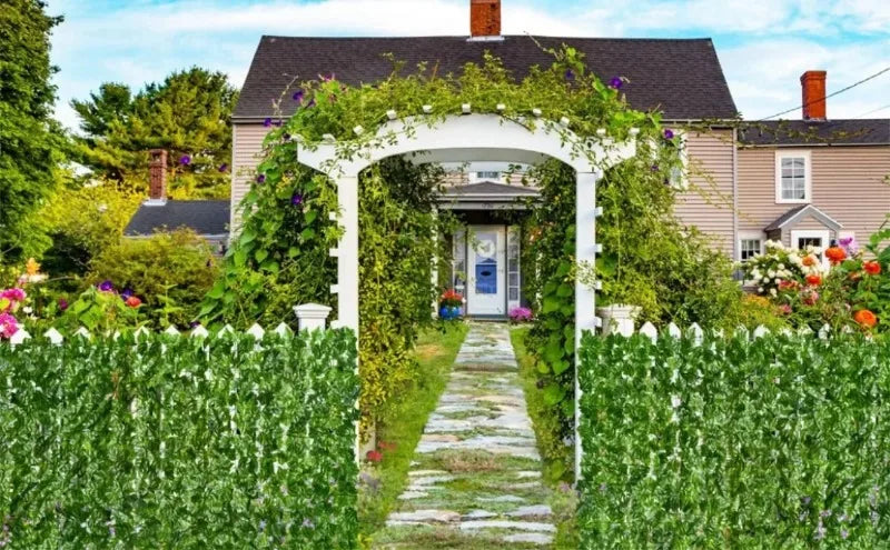 Clôture de confidentialité de mur végétal artificiel avec feuille en plastique