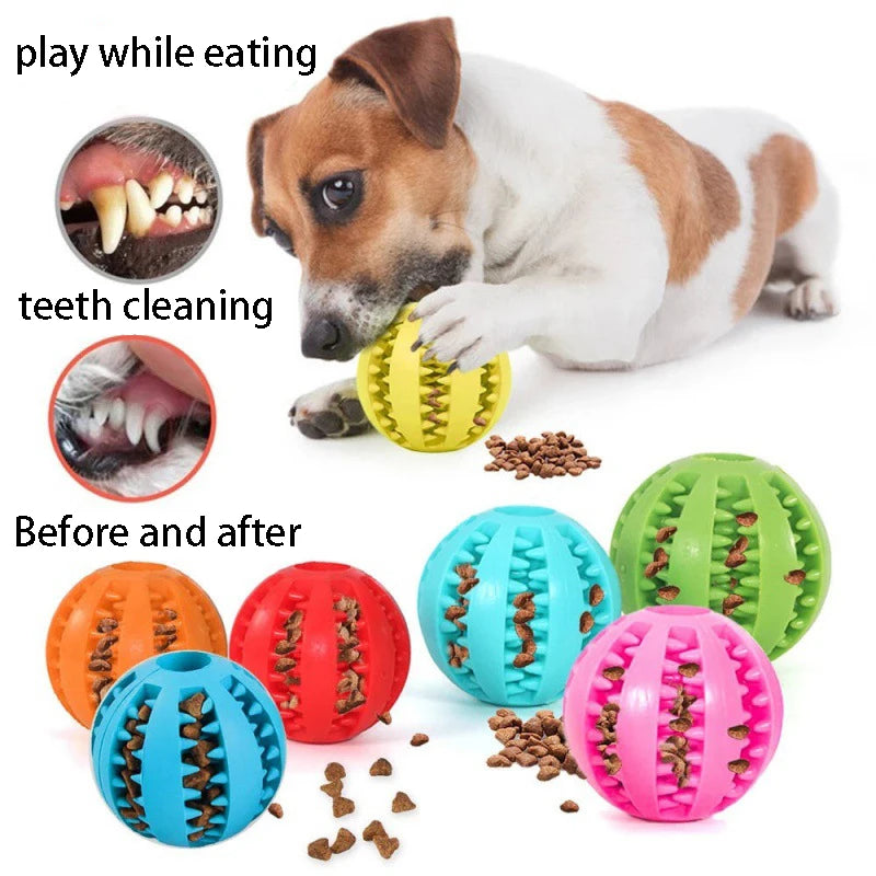 pet toys for dogs