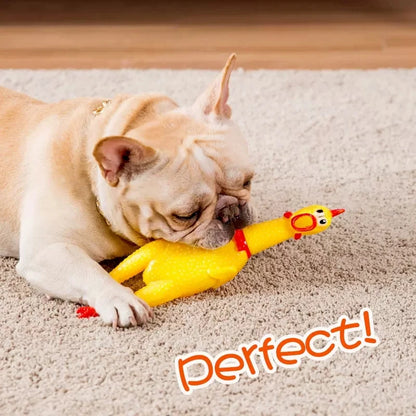 chicken dog toy