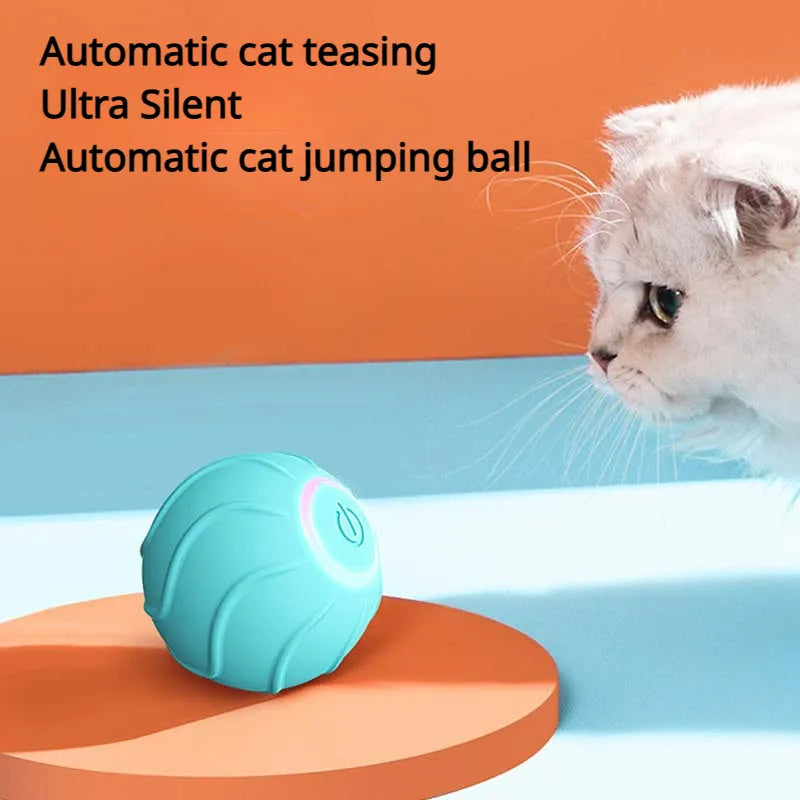 smart cat toys