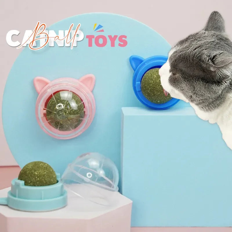 cat toys