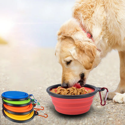 Gamelle pliable en silicone pour chien pour les voyages en plein air