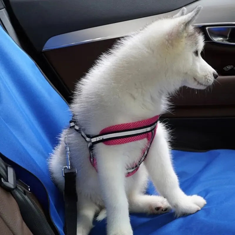 Housse de siège arrière imperméable pour animaux de compagnie