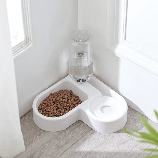 dog food and water feeder