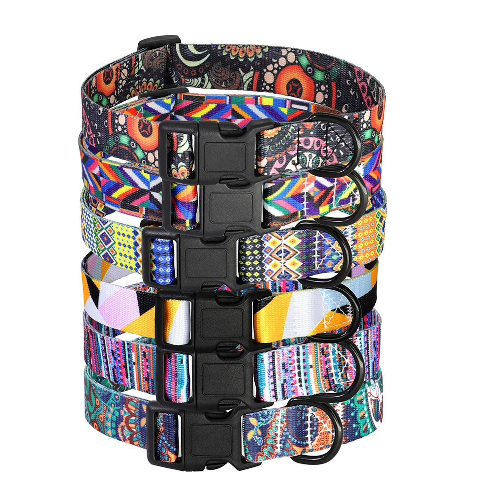 best dog collar