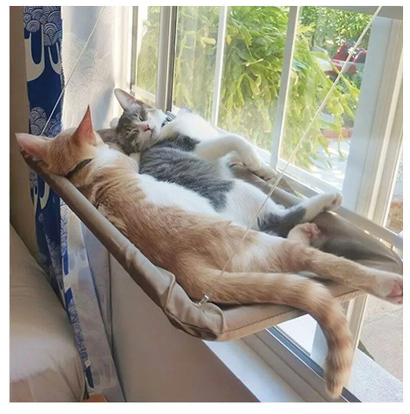 cat hammock bed