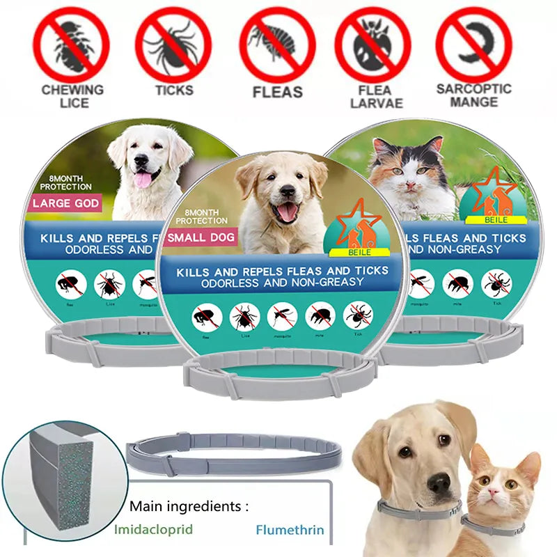 dog collars for large dogs