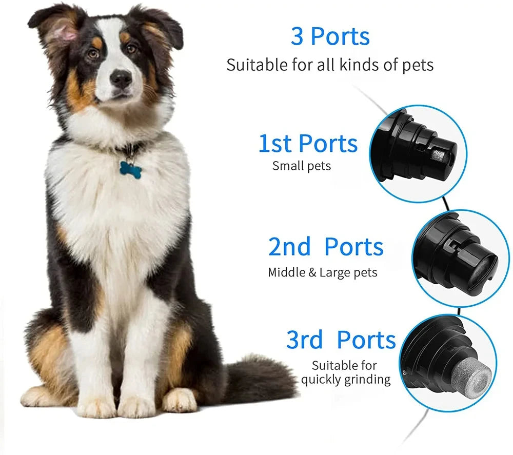Broyeurs à ongles silencieux et rechargeables par USB pour animaux de compagnie