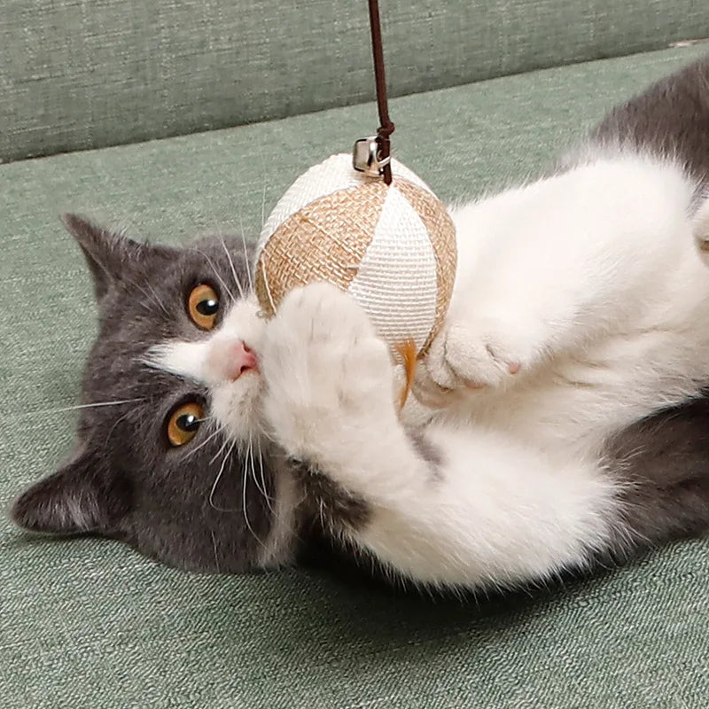 pet toys for cats