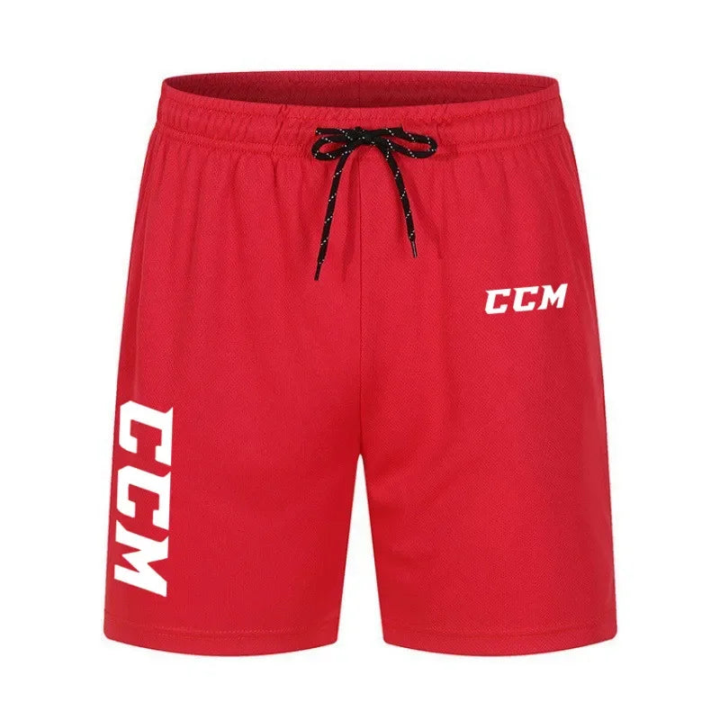 Men's Summer Quick-Dry Mesh Jogging Shorts