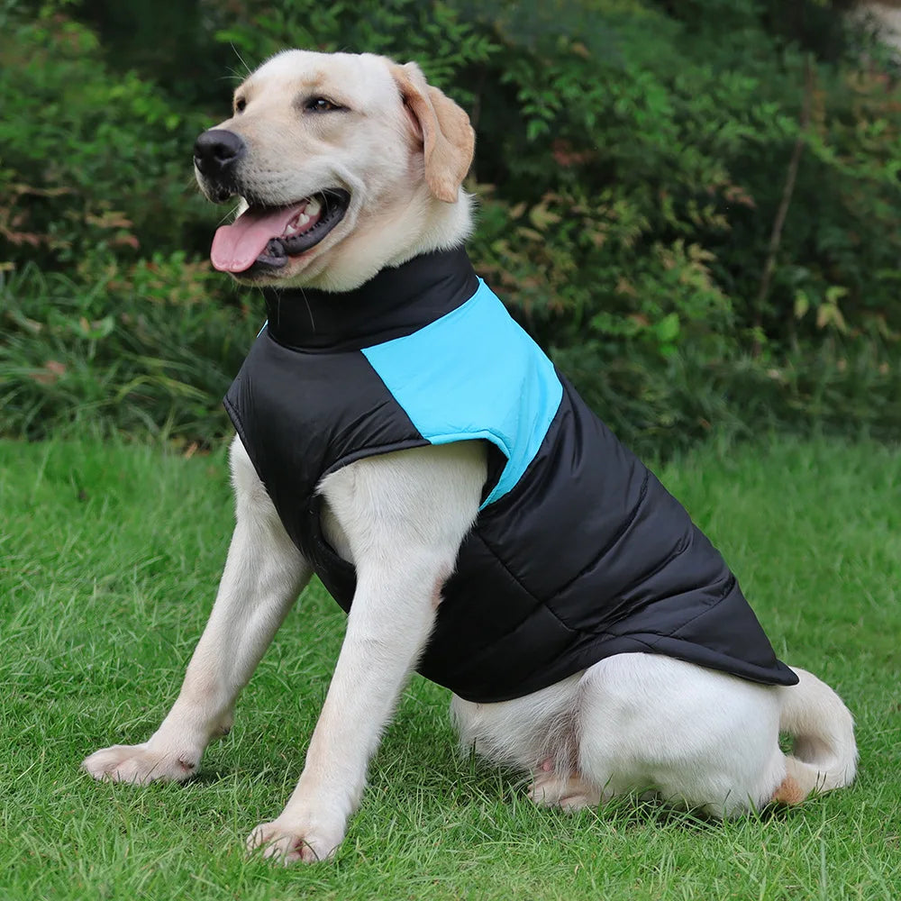 Veste rembourrée imperméable pour animaux de compagnie, veste à glissière au dos