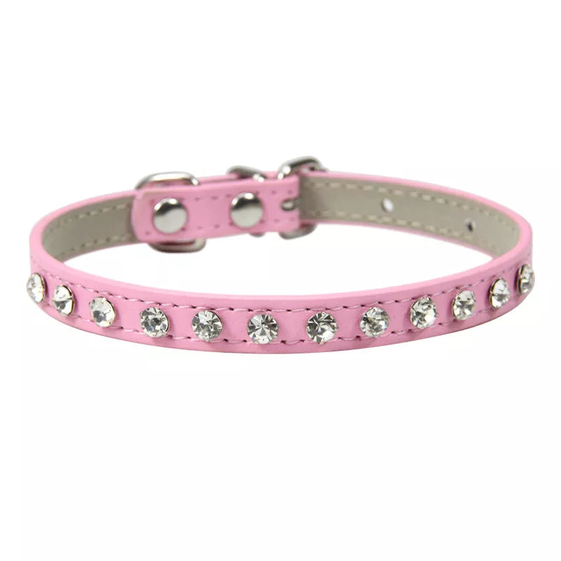 cat collar