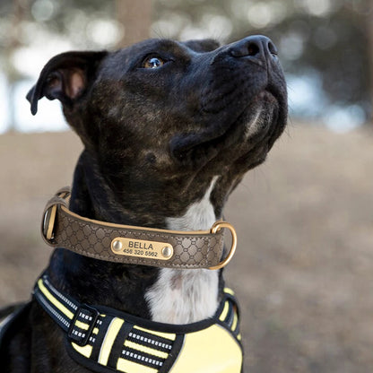 Ensemble collier et laisse pour animaux de compagnie en cuir élégant