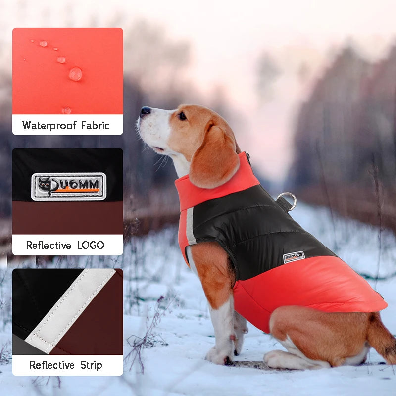 Veste rembourrée imperméable pour animaux de compagnie, veste à glissière au dos