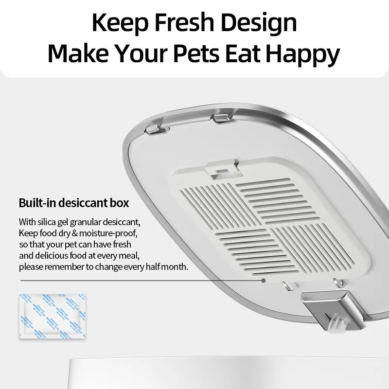 automatic cat food dispenser