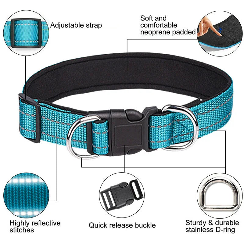 dog leashes and collars