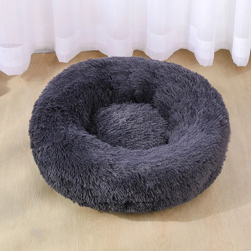 comfort dog bed