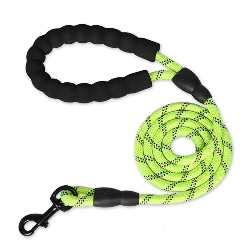 dog leash with handle