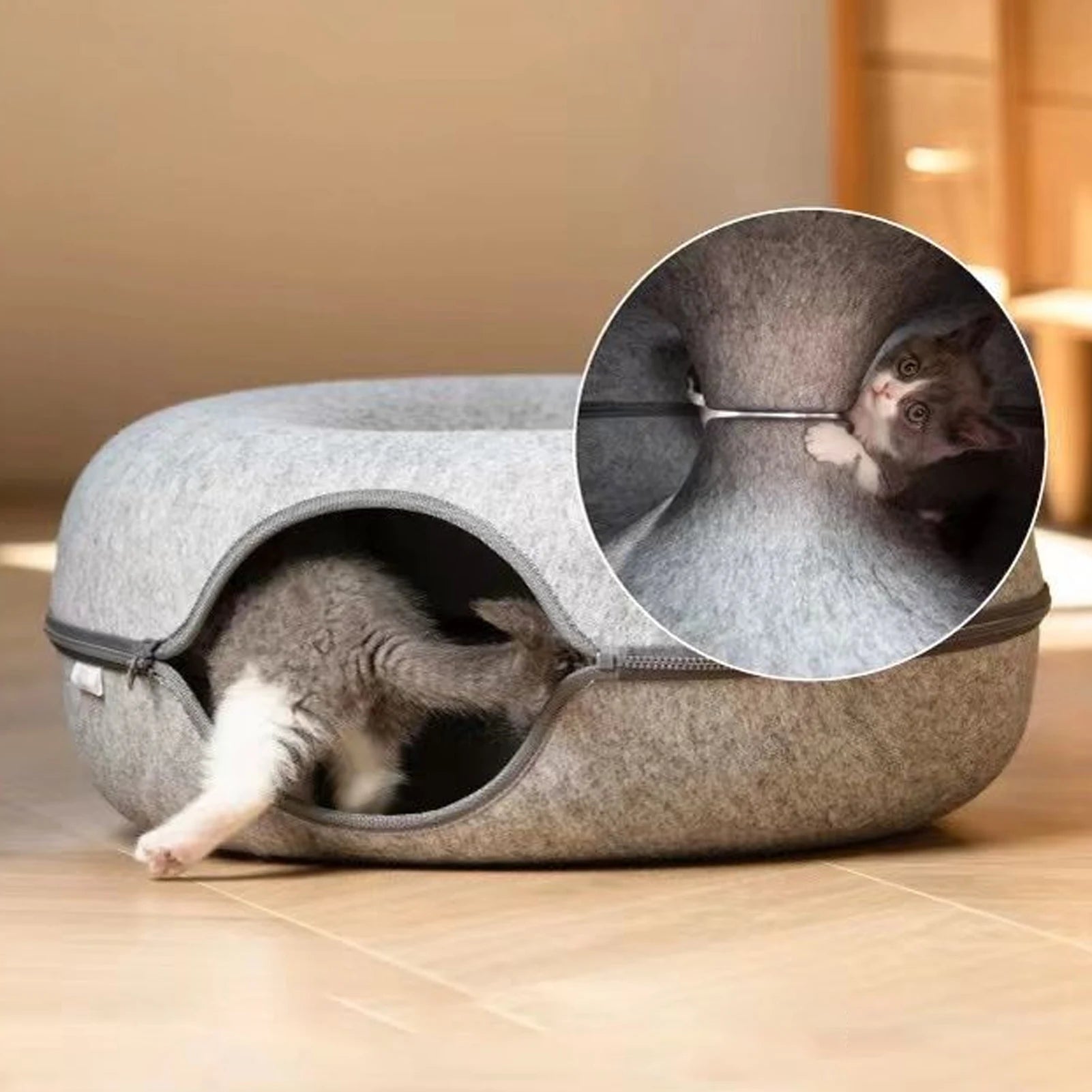 dog comfort bed