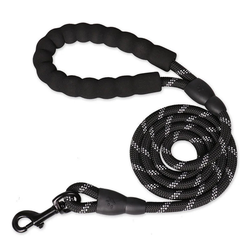 nylon dog leash