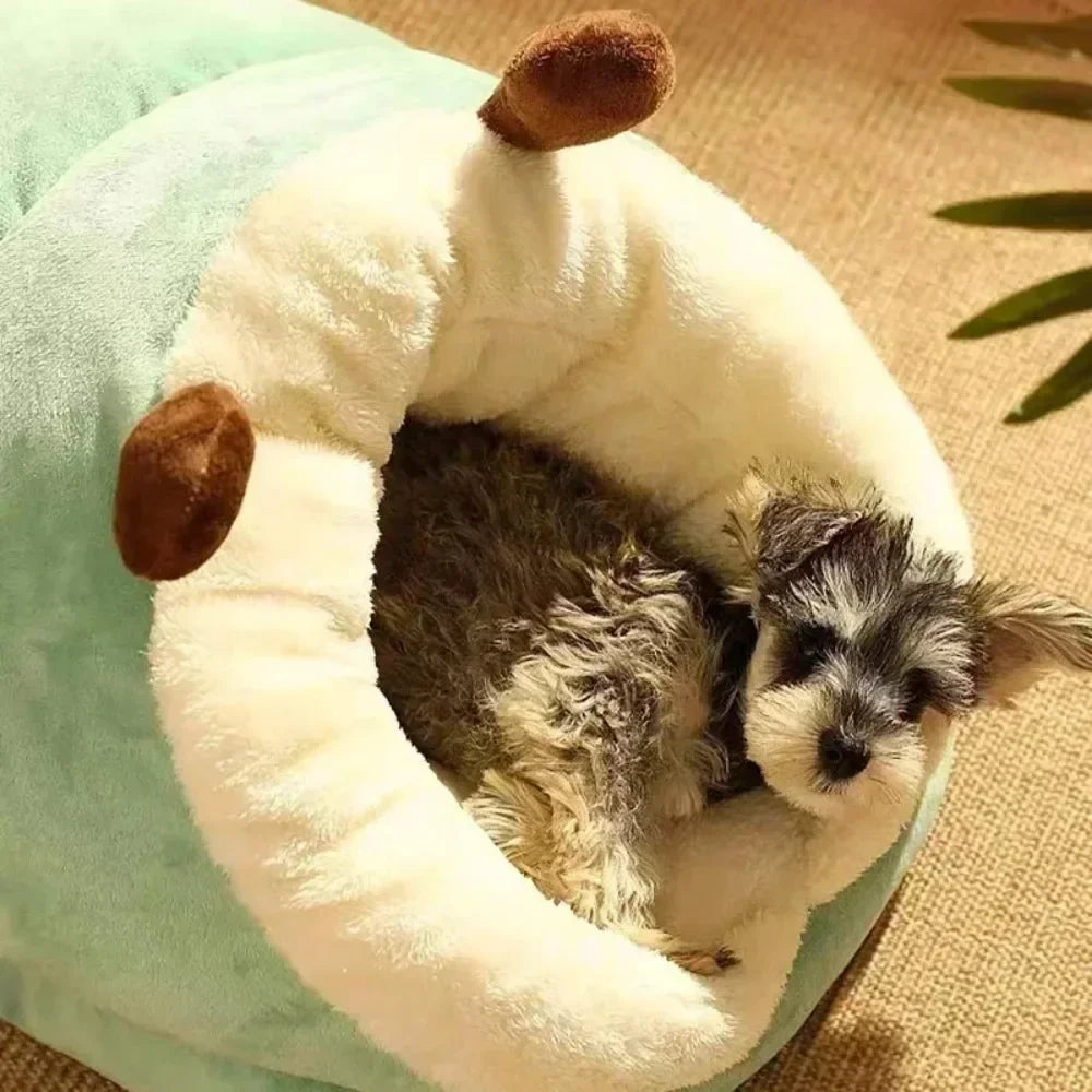 pet beds for dogs