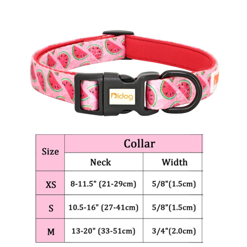 dog leashes and collars