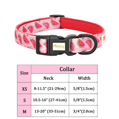 dog leashes and collars