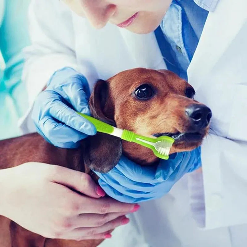 toothbrush for puppies