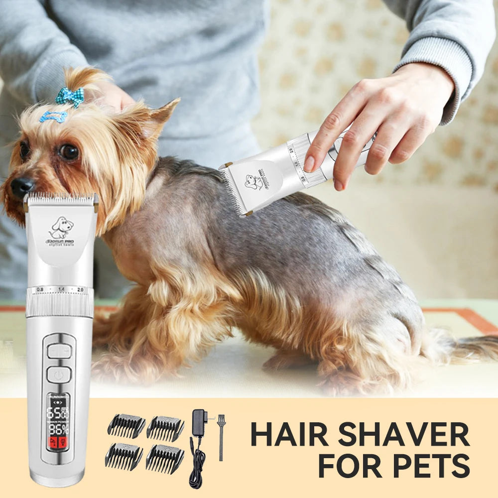 hair clipper pet