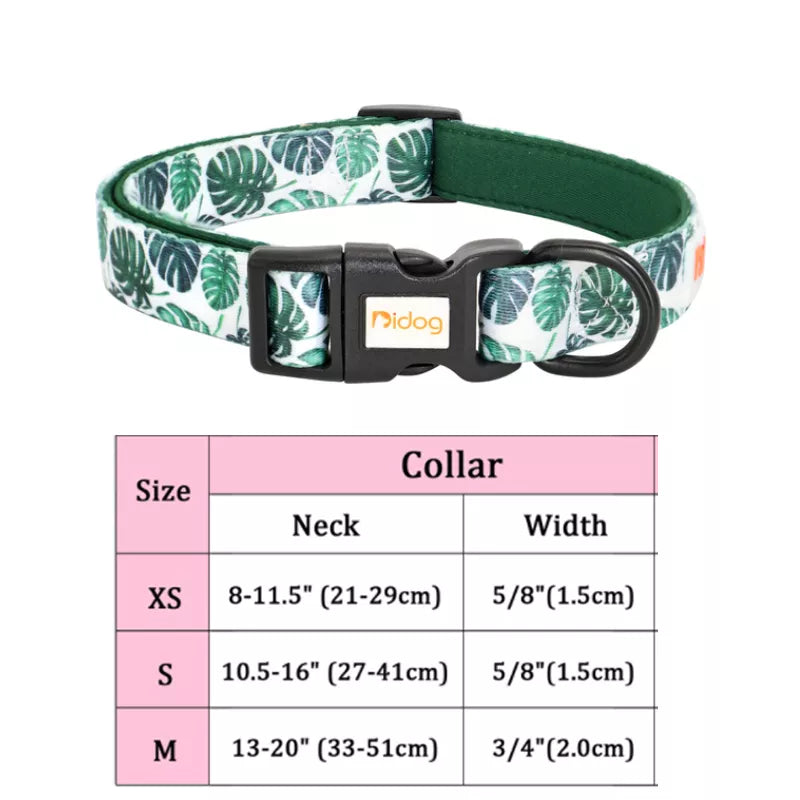 puppy collar