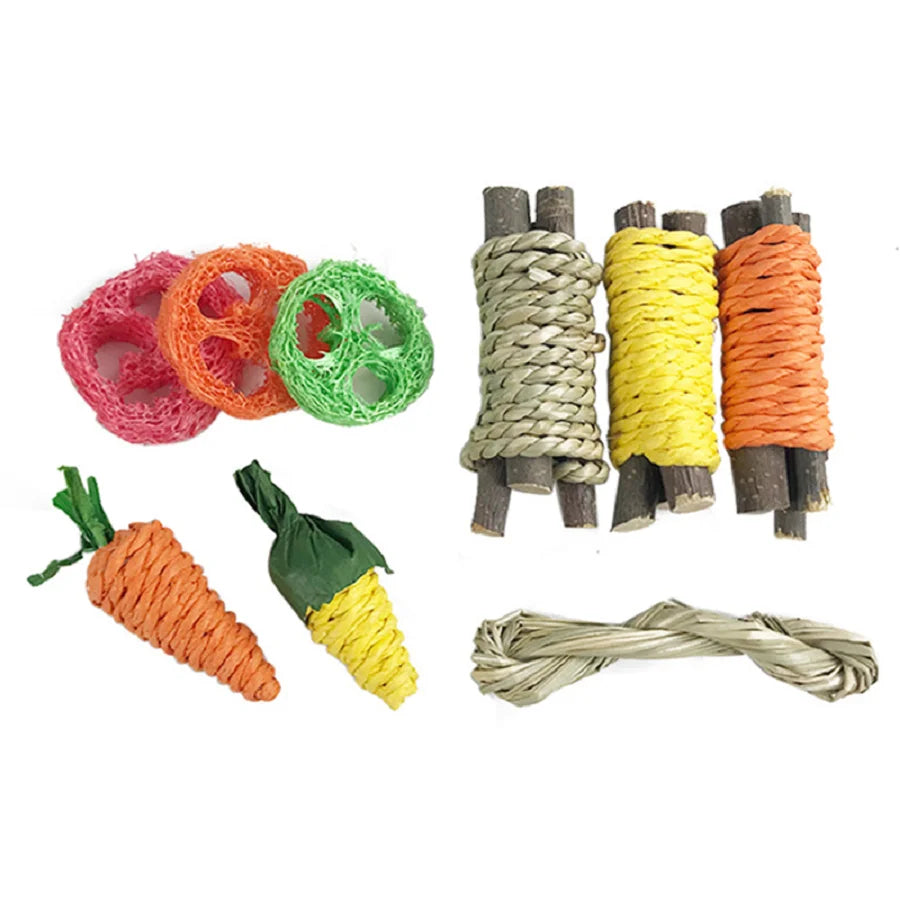 pet bunny toys