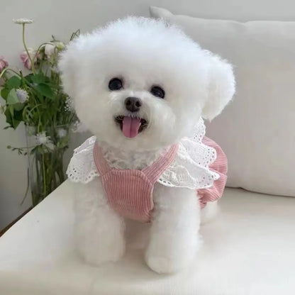 Small Dog Warm Sweet Sweater