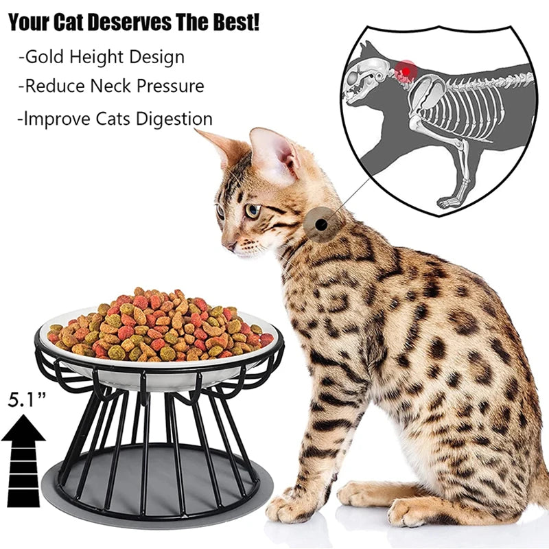 cat food and water bowls