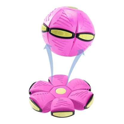 flying saucer dog toy