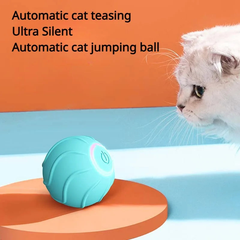 cat rolling ball toy