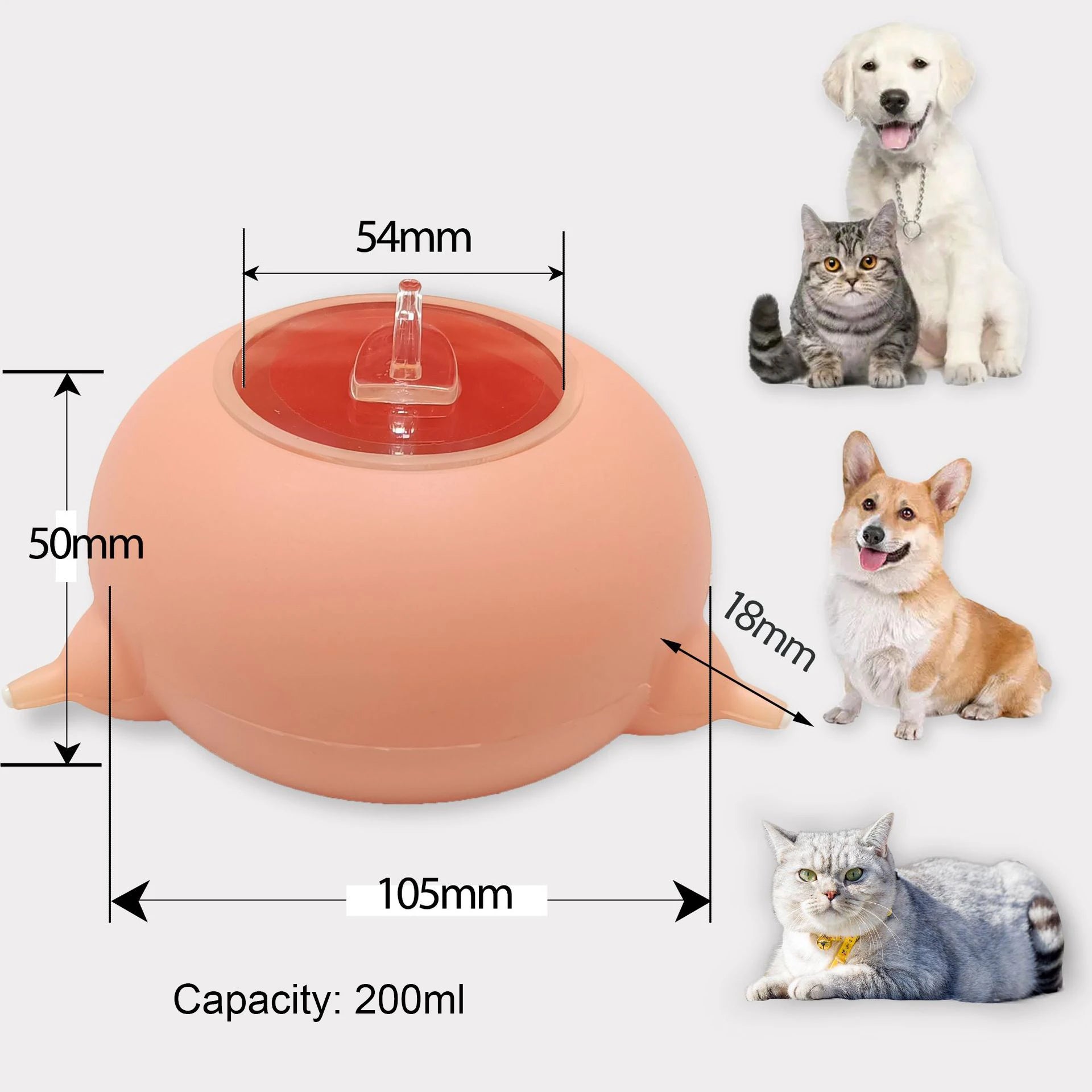 pet bowl feeder