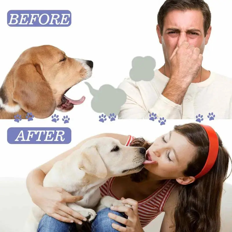 dog teeth cleaning