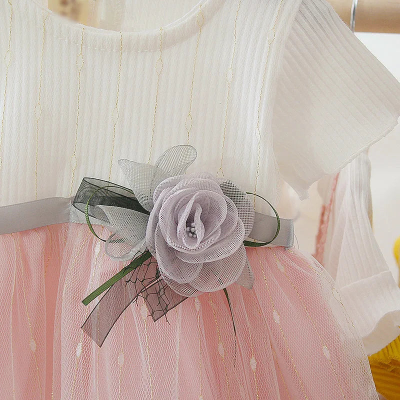 Toddler Girl Tutu Dress - Short Sleeve Princess Wedding Dress